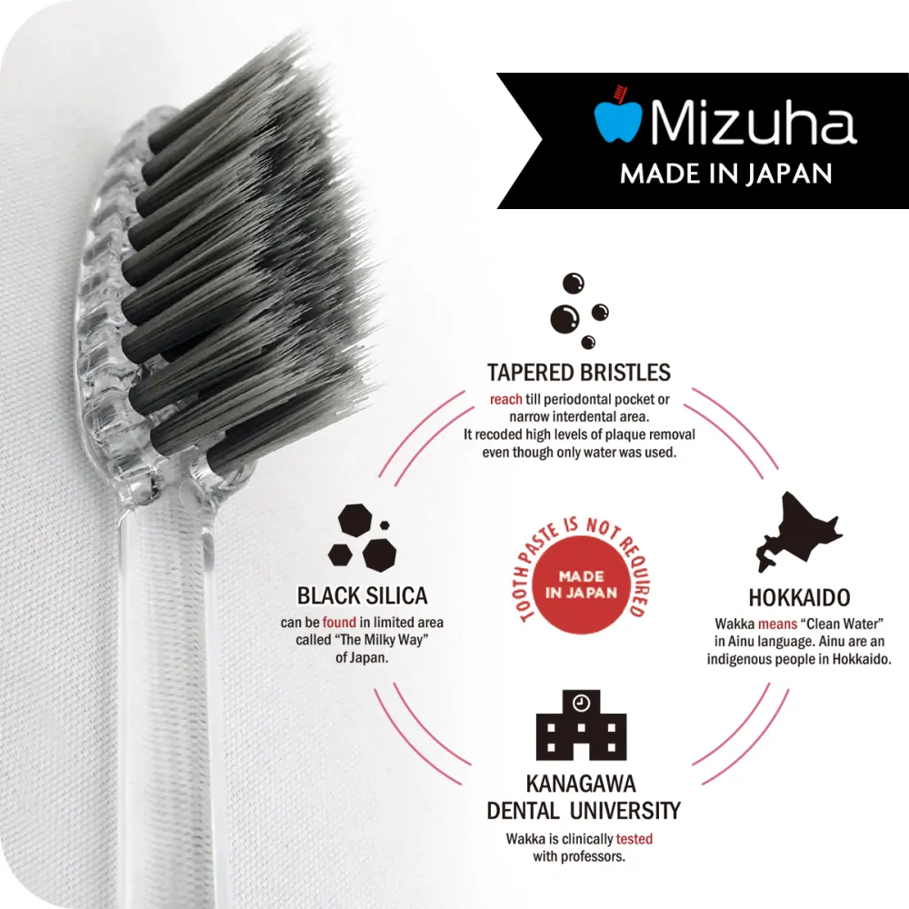 SET Mizuha FUJI
